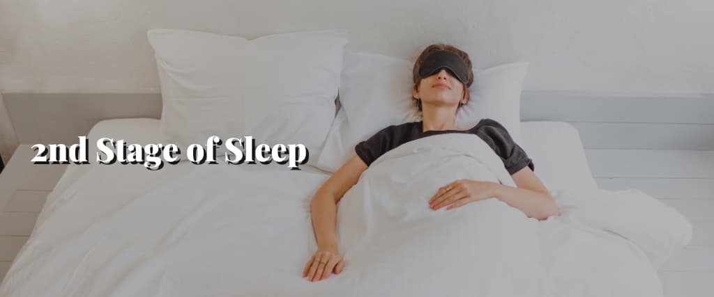 2nd Stage of Sleep