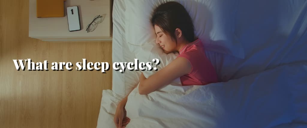What are sleep cycles