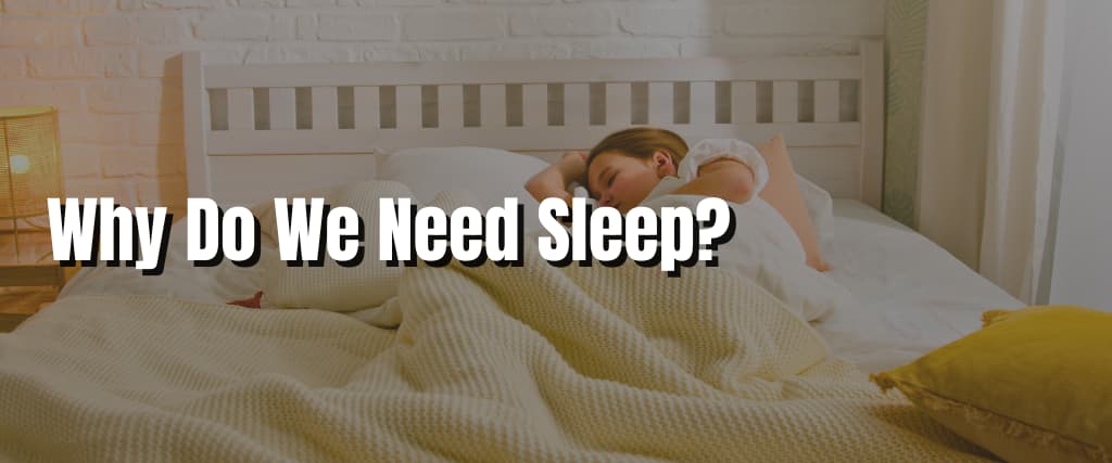 Why Do We Need Sleep