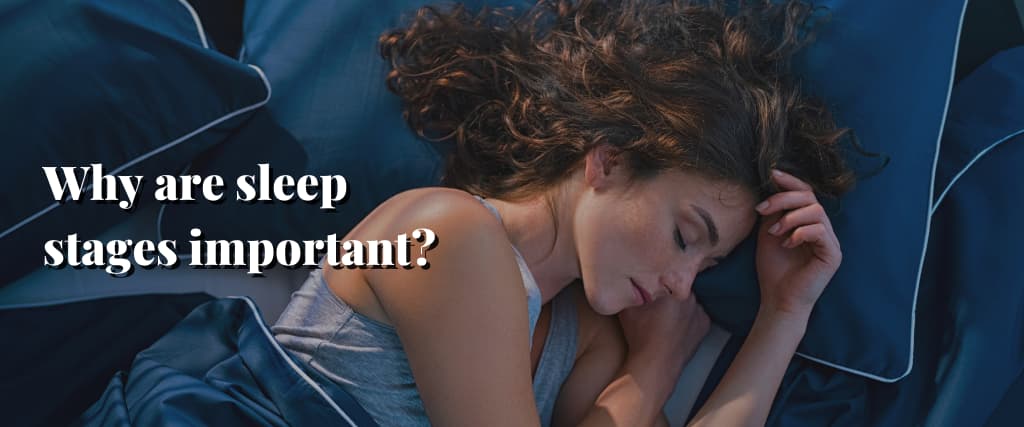 Why are sleep stages important