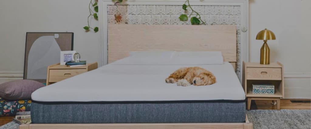 Ecosa Mattress Review