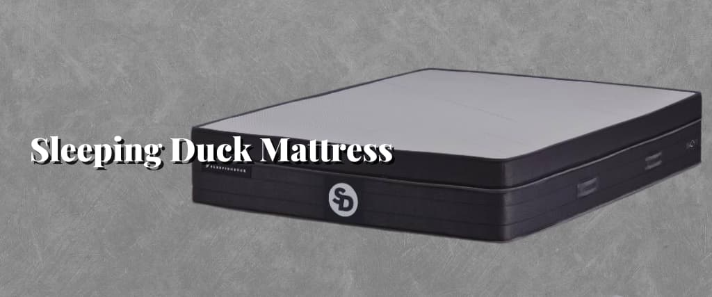 Sleeping Duck Mattress1