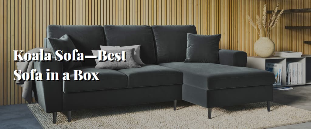 Koala Sofa—Best Sofa in a Box