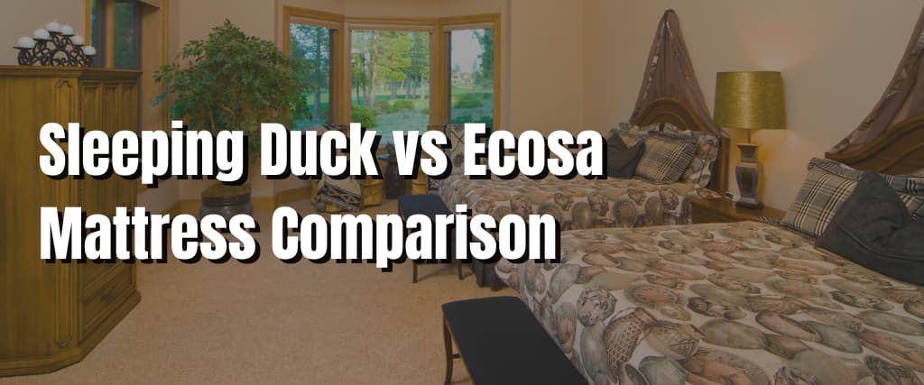 Sleeping Duck vs Ecosa Mattress Comparison