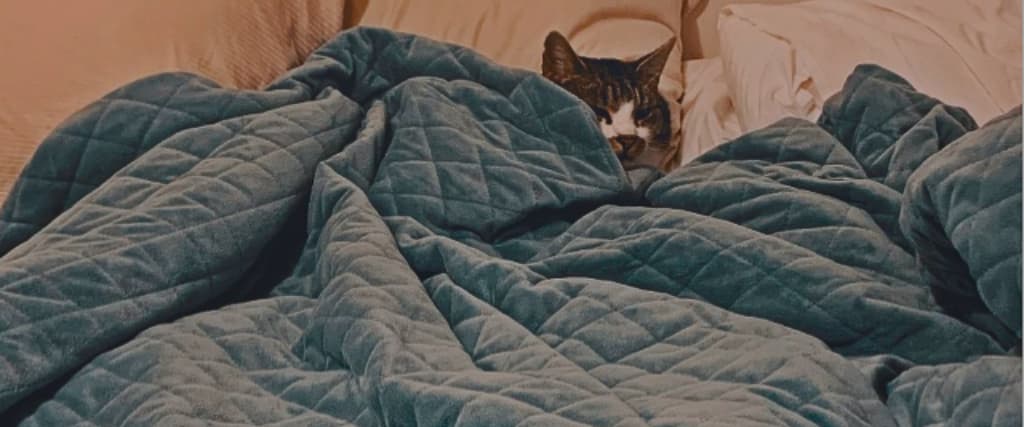 Can I Use My NDIS Plan to Claim My Neptune Weighted Blanket