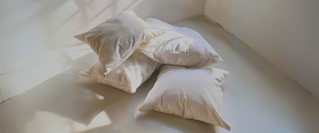 Ecosa Pillow Review.