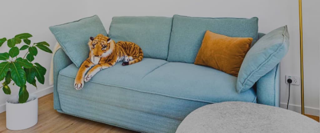 Koala Sofa Bed Review
