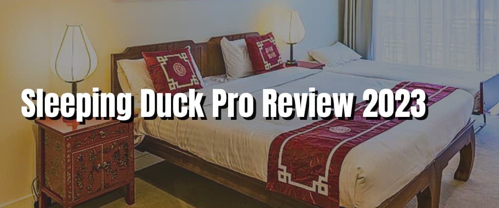 Sleeping Duck Pro Review 2023