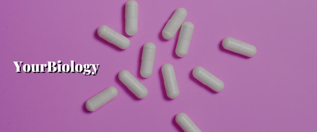 YourBiology