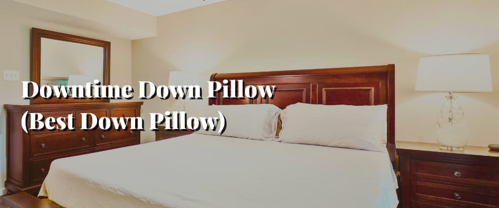 Downtime Down Pillow (Best Down Pillow)