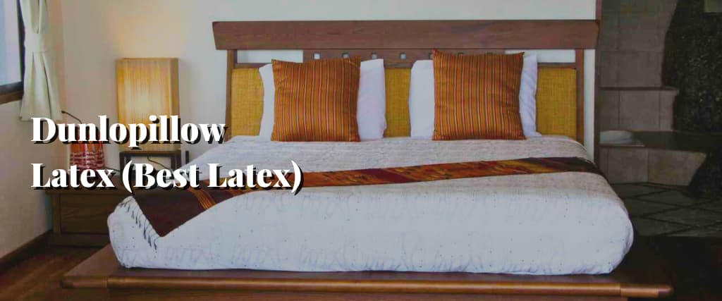 Dunlopillow Latex (Best Latex)