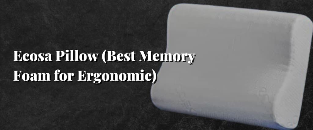 Ecosa Pillow (Best Memory Foam for Ergonomic)