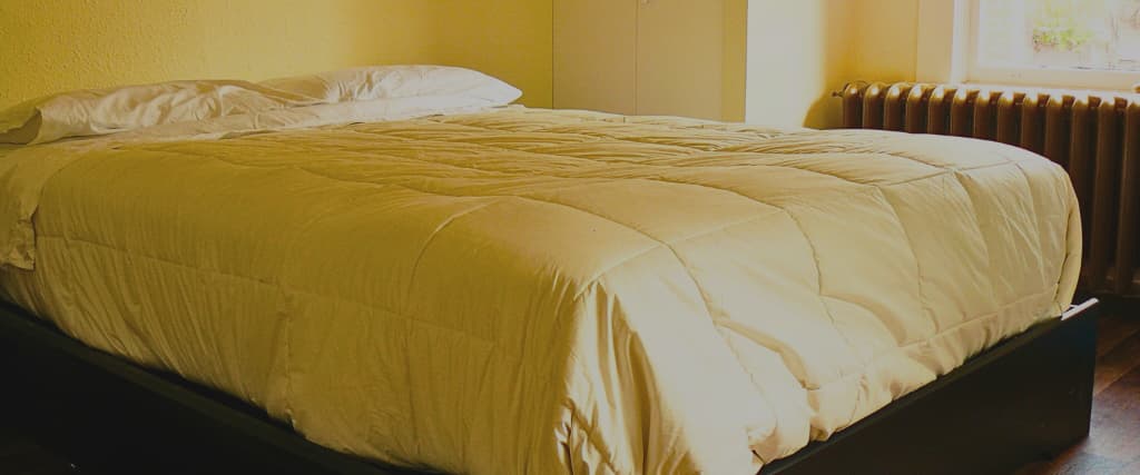 Koala Paddington Bed Base Review 1