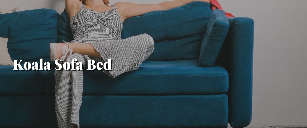 Koala Sofa Bed