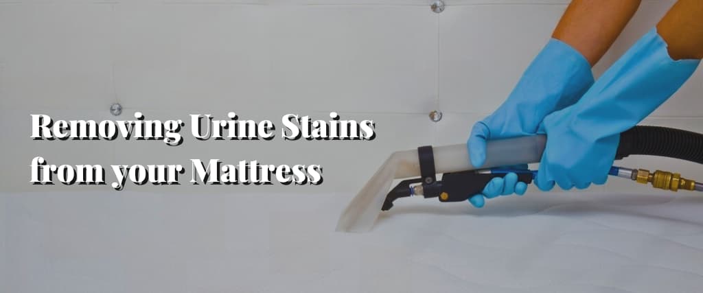 Removing Urine Stains from your Mattress