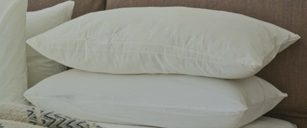 Spinaleze Pillow Review